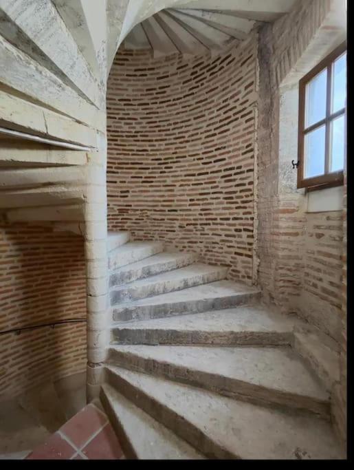 Tour Medievale Unesco Albi Extérieur photo